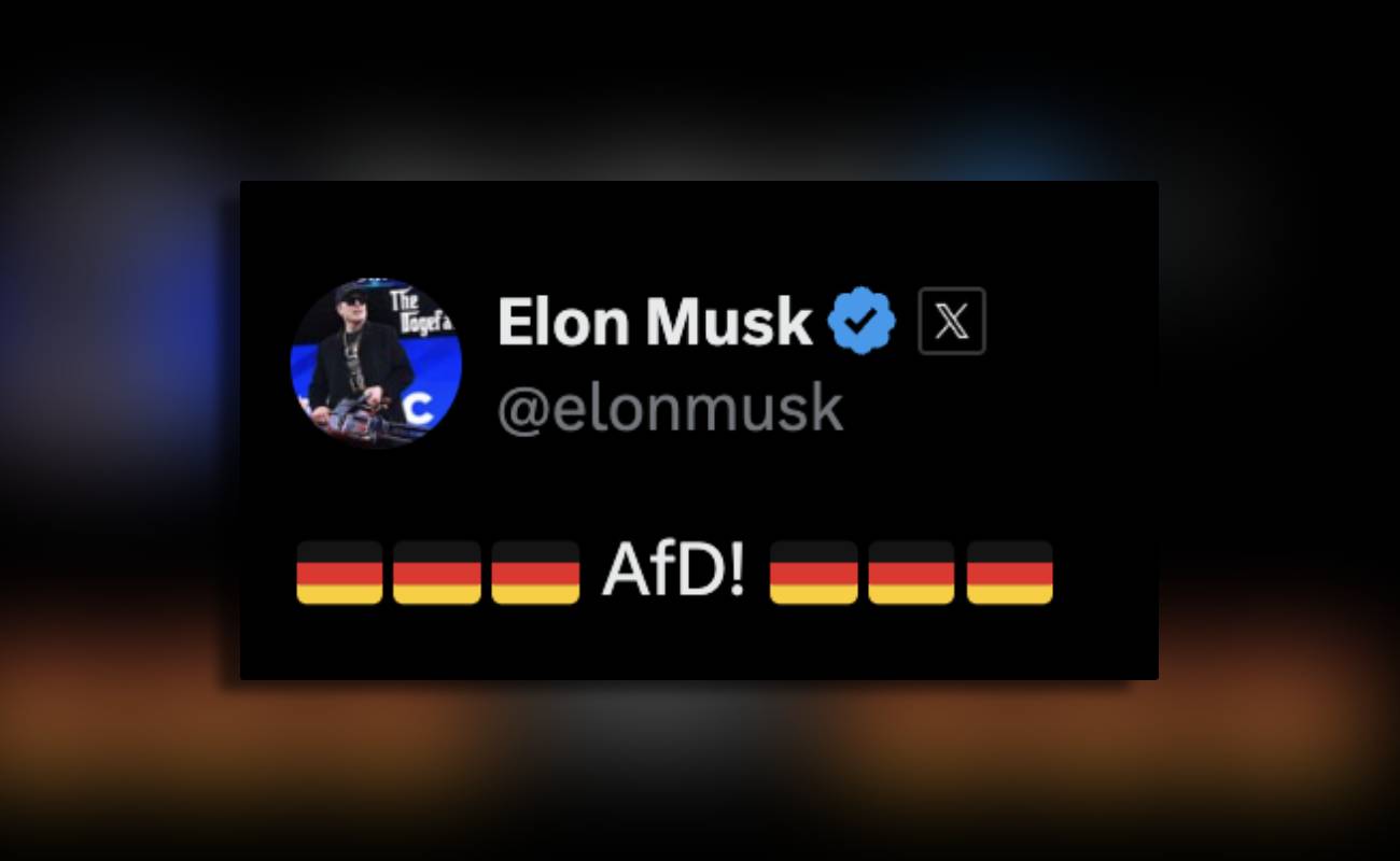 Seçim günü Elon Musk tan AfD ye destek