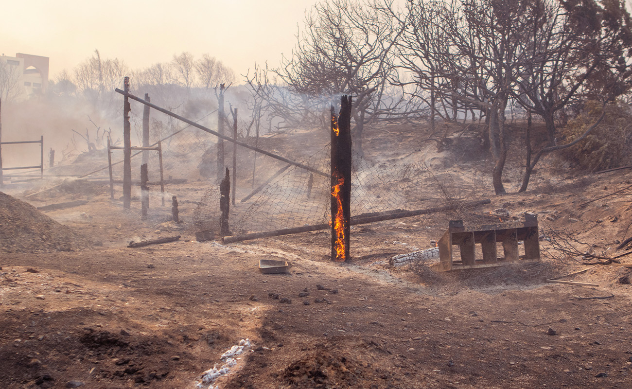 Yunanistan’da orman yangınları kontrolden çıktı