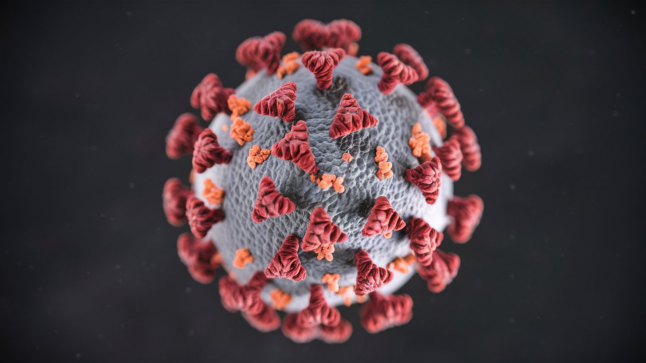 Parvovirüs uyarısı: Yetişkinlere de bulaşmaya başladı